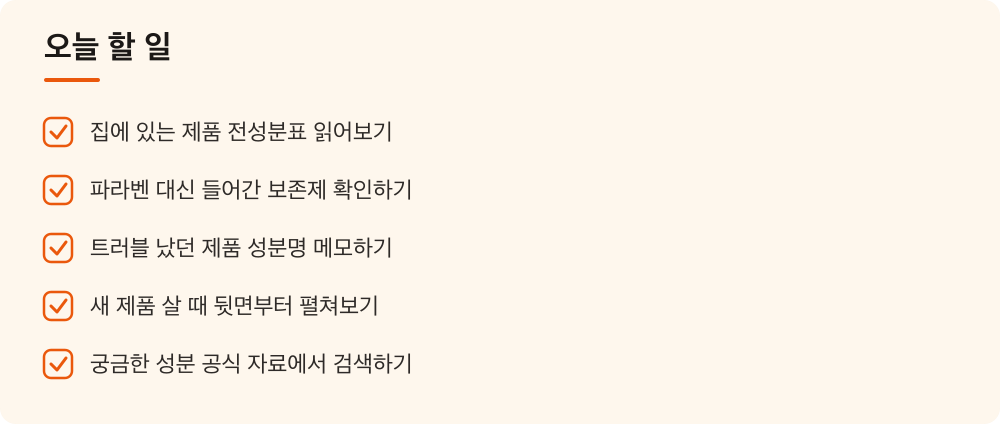 오늘 할 일